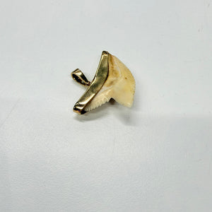 Pendentif Dent de Requin en Or Jaune 18k