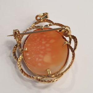 Pendentif/ Broche Or avec Camée