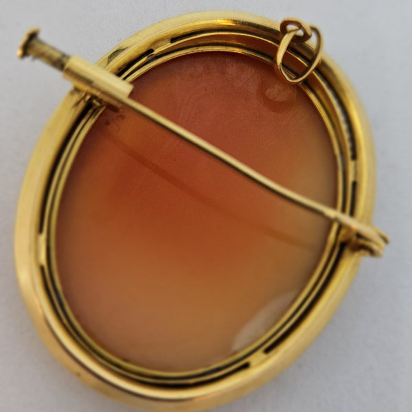 Pendentif/ broche Camée en Or