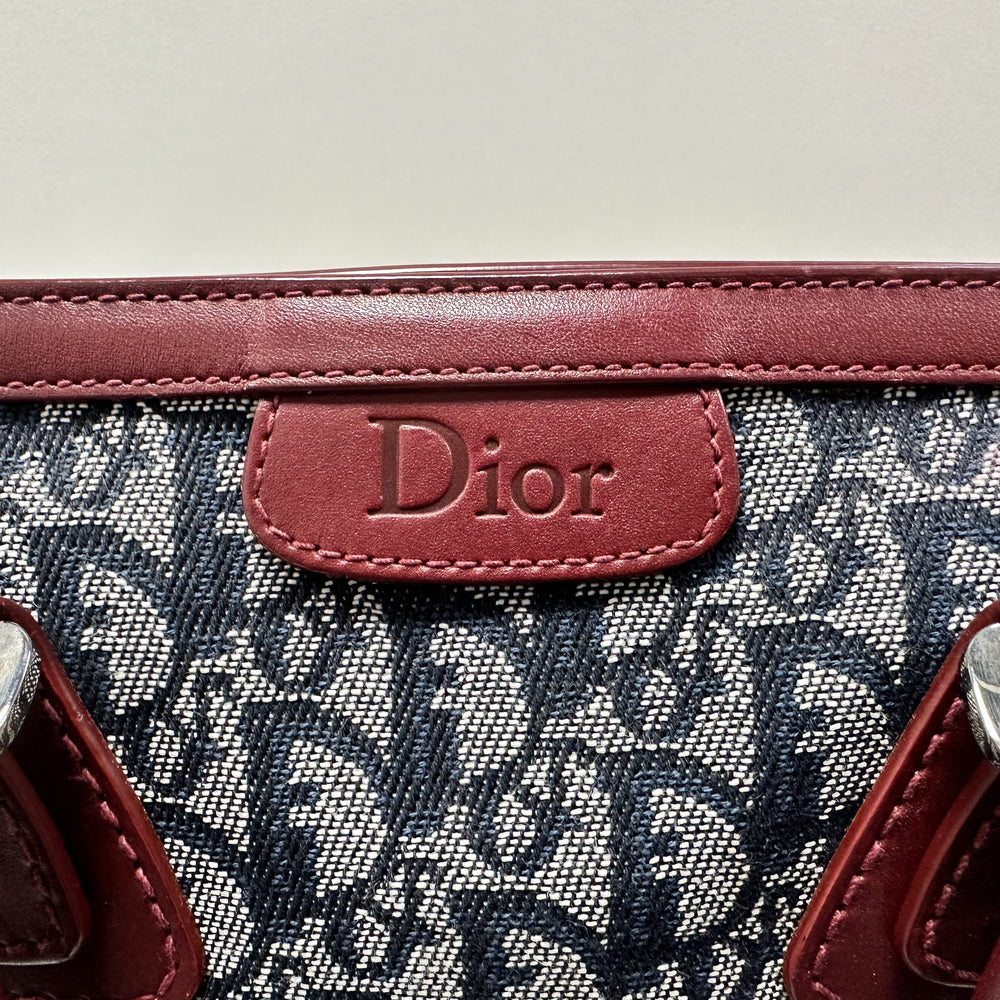 Sac Dior avec Trotter
