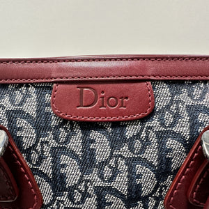 Sac Dior avec Trotter