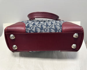 Sac Dior avec Trotter