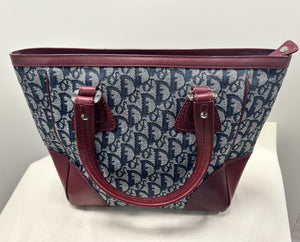 Sac Dior avec Trotter