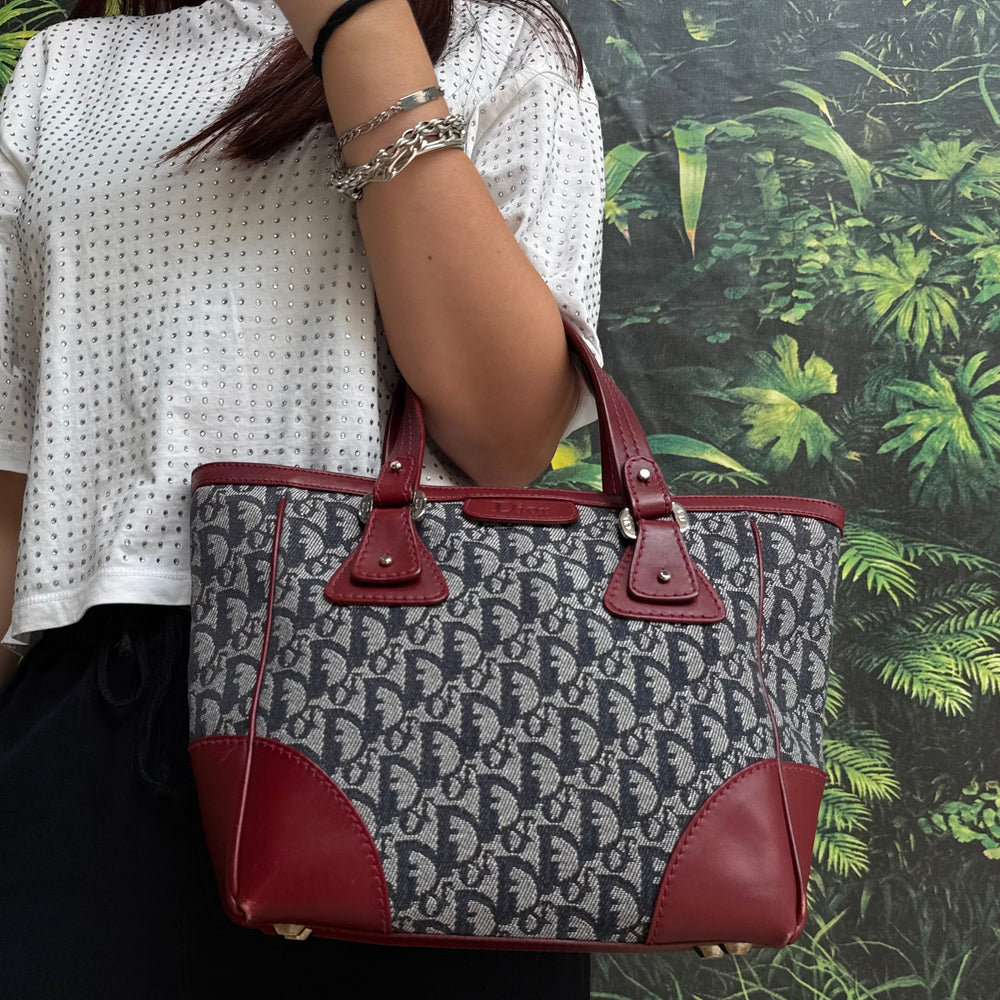 Sac à main Dior Trotter