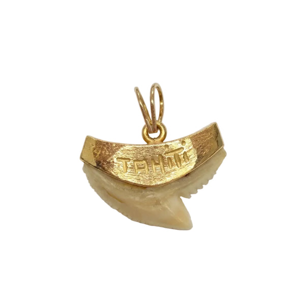 Pendentif Dent de Requin en Or Jaune 18K Gravé Tahiti