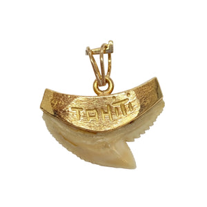 Pendentif Dent de Requin en Or Jaune 18K Gravé Tahiti