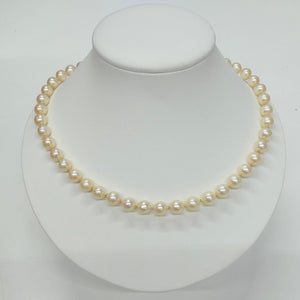 Collier Perle d'eau douce Or Jaune 18 K