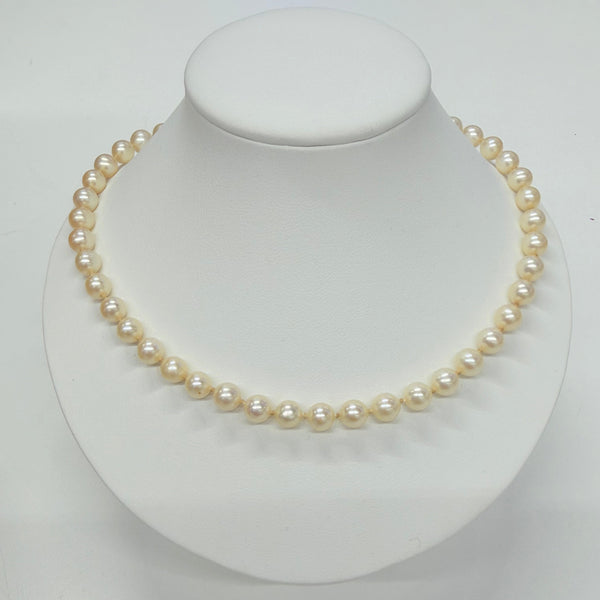 Collier Perle d'eau douce Or Jaune 18 K