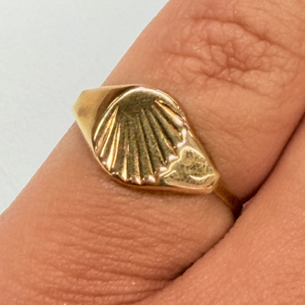Bague Chevalière en Or Jaune 18 K