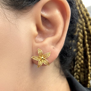 Boucles d'oreilles Or Jaune 18k - 1.87 G