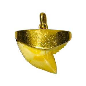 Pendentif Dent Requin Or Jaune 18k
