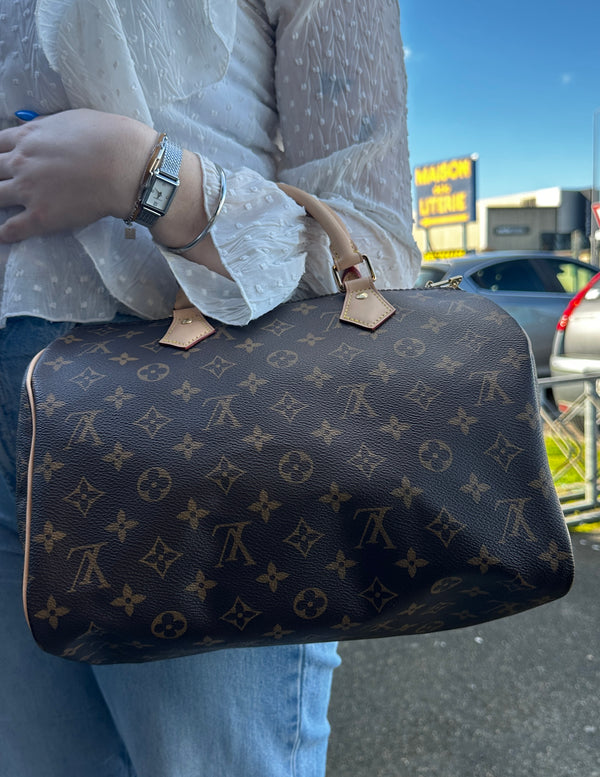 Sac Louis Vuitton Speedy 30 marron/beige