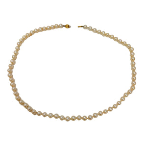 Collier Perle d'eau douce Or Jaune 18 K