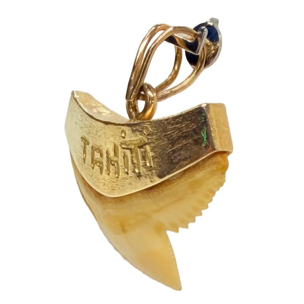 Pendentif Dent de Requin en Or Jaune 18K - 8.08Grs