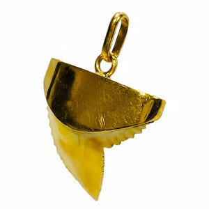 Pendentif Dent Requin Or Jaune 18k