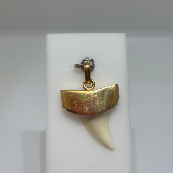 Pendentif Médaille en Or Jaune 18K - 2.50g