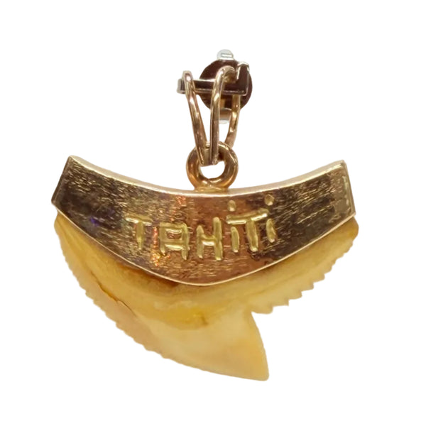 Pendentif Dent de Requin en Or Jaune 18K - 8.08Grs