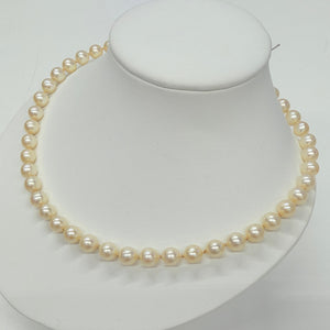 Collier Perle d'eau douce Or Jaune 18 K