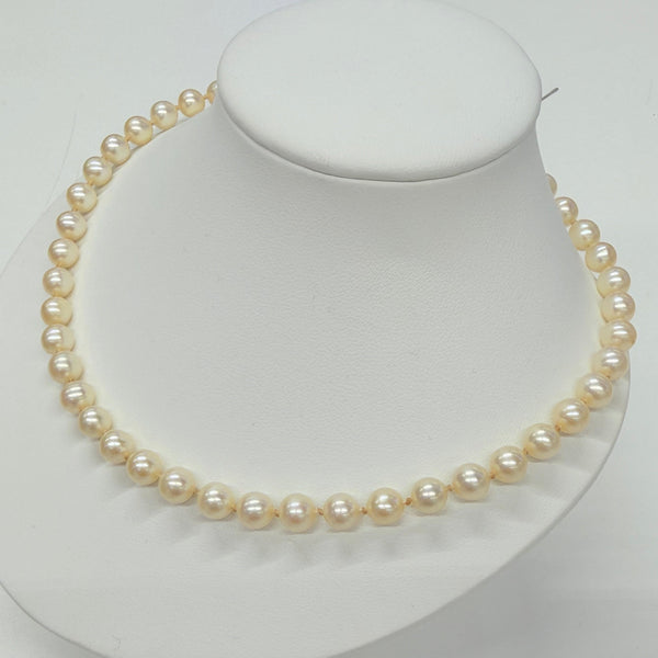 Collier Perle d'eau douce Or Jaune 18 K