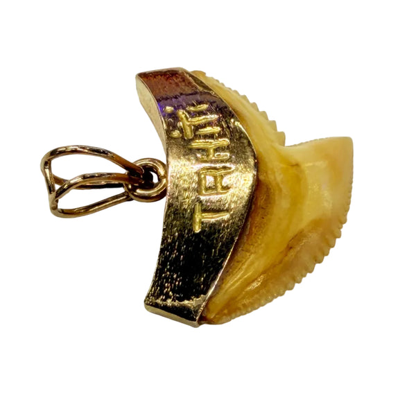 Pendentif Dent de Requin en Or Jaune 18K - 8.08Grs
