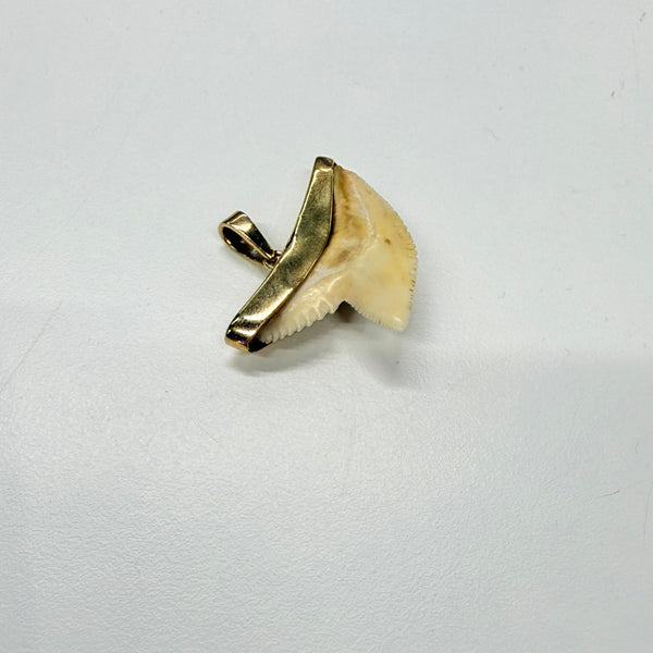 Pendentif Dent de Requin en Or Jaune 18k
