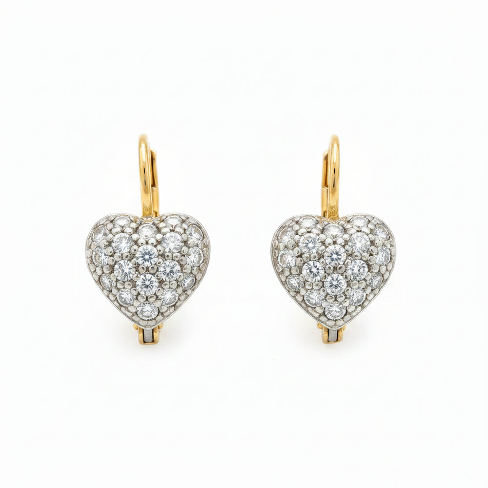Boucle d'oreilles en Or Jaune/Blanc 18K - 3.97G
