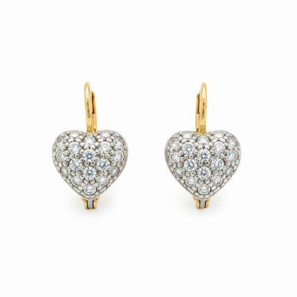 Boucle d'oreilles en Or Jaune/Blanc 18K - 3.97G