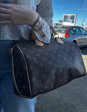 Sac Louis Vuitton Speedy 30 marron/beige