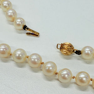 Collier Perle d'eau douce Or Jaune 18 K