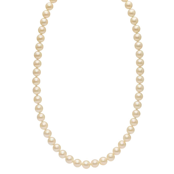 Collier ras du cou en Or Jaune avec Perles d'eau