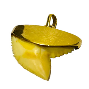 Pendentif Dent Requin Or Jaune 18k