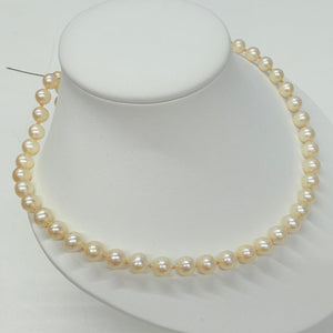 Collier Perle d'eau douce Or Jaune 18 K