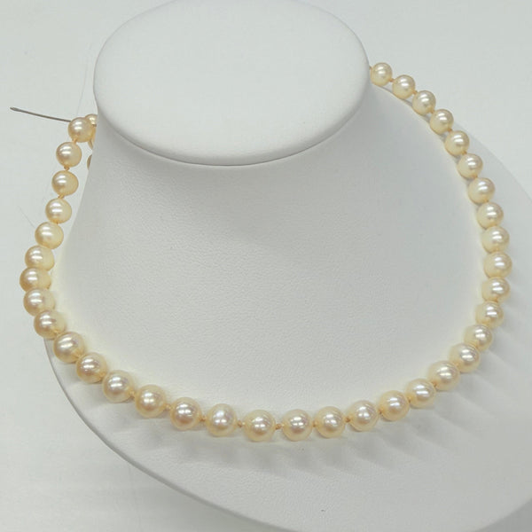Collier Perle d'eau douce Or Jaune 18 K
