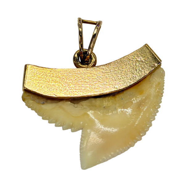 Pendentif Dent de Requin en Or Jaune 18K Gravé Tahiti