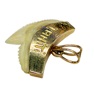 Pendentif Dent de Requin en Or Jaune 18K Gravé Tahiti